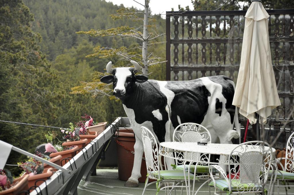 Hotel Amoretes La Molina  Kültér fotó